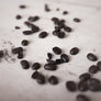 Organic decaf coffee beans