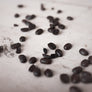 Organic decaf coffee beans